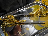 � ���������� ������ ������ ������������� �������� ����������� � �������-��������� ������� Expo&Fest�